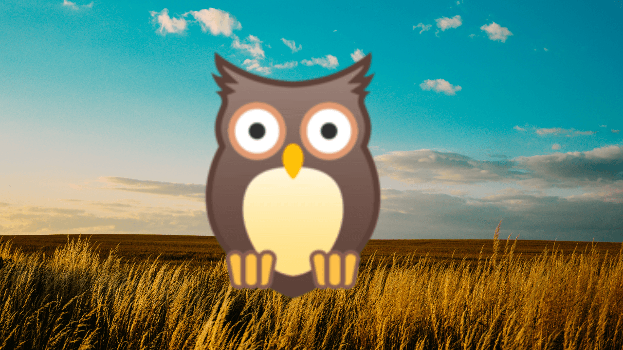 owl-odoo